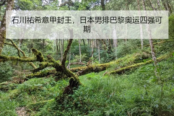 shi-chuan-you-xi-yi-jia-feng-wang-ri-ben-nan-pai-ba-li-ao-yun-si-qiang-ke-qi-2-333.jpg