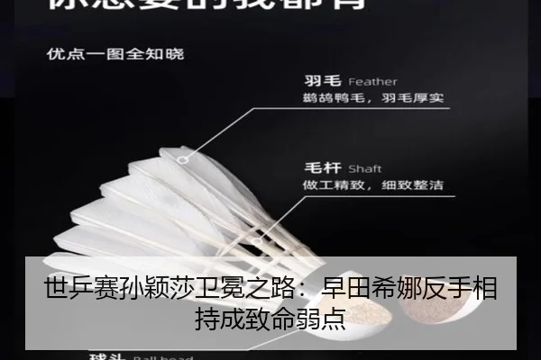 shi-ping-sai-sun-ying-sha-wei-mian-zhi-lu-zao-tian-xi-na-fan-shou-xiang-chi-cheng-zhi-ming-ruo-dian-2-550.jpg