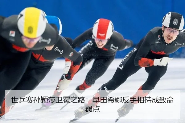 shi-ping-sai-sun-ying-sha-wei-mian-zhi-lu-zao-tian-xi-na-fan-shou-xiang-chi-cheng-zhi-ming-ruo-dian-3-593.jpg