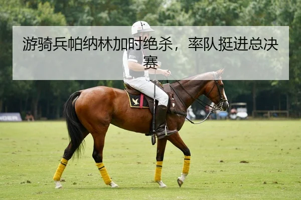 you-qi-bing-pa-na-lin-jia-shi-jue-sha-shuai-dui-ting-jin-zong-jue-sai-2-307.jpg
