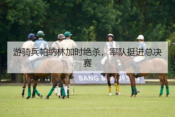you-qi-bing-pa-na-lin-jia-shi-jue-sha-shuai-dui-ting-jin-zong-jue-sai-3-699.jpg