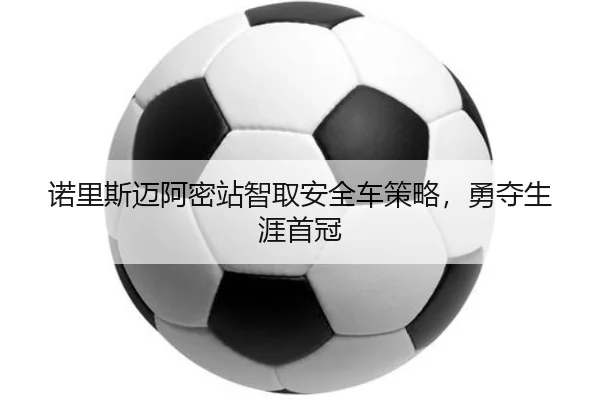 nuo-li-si-mai-a-mi-zhan-zhi-qu-an-quan-che-ce-lve-yong-duo-sheng-ya-shou-guan-2-627.jpg