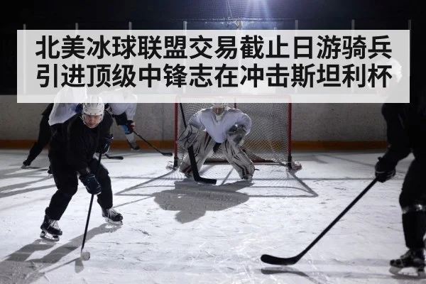 北美冰球联盟交易截止日游骑兵引进顶级中锋志在冲击斯坦利杯